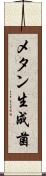 メタン生成菌 Scroll