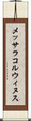 メッサラコルウィヌス Scroll