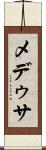 メデゥサ Scroll