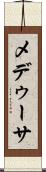 メデゥーサ Scroll