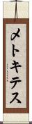 メトキテス Scroll