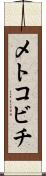 メトコビチ Scroll