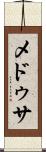 メドゥサ Scroll