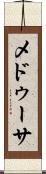 メドゥーサ Scroll