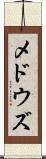 メドウズ Scroll