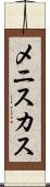 メニスカス Scroll