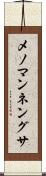 メノマンネングサ Scroll
