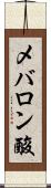 メバロン酸 Scroll