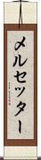 メルセッター Scroll