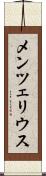 メンツェリウス Scroll