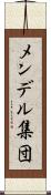 メンデル集団 Scroll