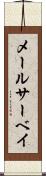 メールサーベイ Scroll