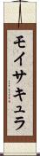 モイサキュラ Scroll