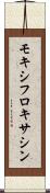 モキシフロキサシン Scroll