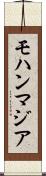 モハンマジア Scroll