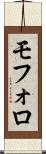 モフォロ Scroll