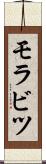 モラビツ Scroll