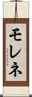 モレネ Scroll