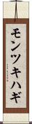 モンツキハギ Scroll