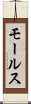 モールス Scroll