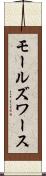 モールズワース Scroll