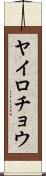 ヤイロチョウ Scroll