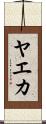 ヤエカ Scroll