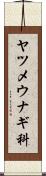 ヤツメウナギ科 Scroll