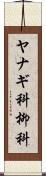 ヤナギ科 Scroll