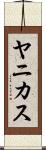 ヤニカス Scroll