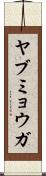 ヤブミョウガ Scroll