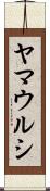 ヤマウルシ Scroll