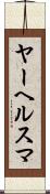 ヤーヘルスマ Scroll