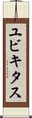 ユビキタス Scroll