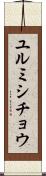 ユルミシチョウ Scroll