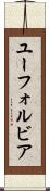 ユーフォルビア Scroll