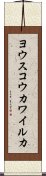 ヨウスコウカワイルカ Scroll