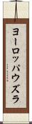 ヨーロッパウズラ Scroll