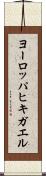 ヨーロッパヒキガエル Scroll