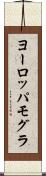 ヨーロッパモグラ Scroll