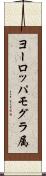 ヨーロッパモグラ属 Scroll