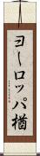 ヨーロッパ楢 Scroll
