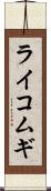 ライコムギ Scroll