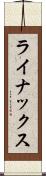 ライナックス Scroll