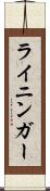 ライニンガー Scroll