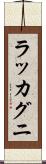 ラッカグニ Scroll