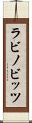 ラビノビッツ Scroll