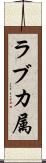 ラブカ属 Scroll
