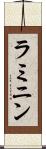 ラミニン Scroll