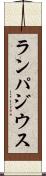 ランパジウス Scroll